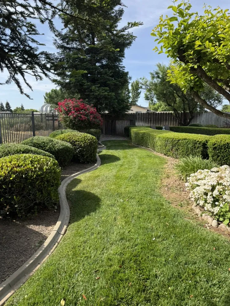 Expert yard cleanup service in Ceres, CA - RL Landscaping