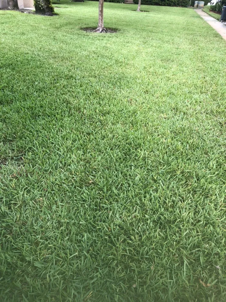 Affordable landscaping services with custom design across Leesburg, FL - RL landscaping group