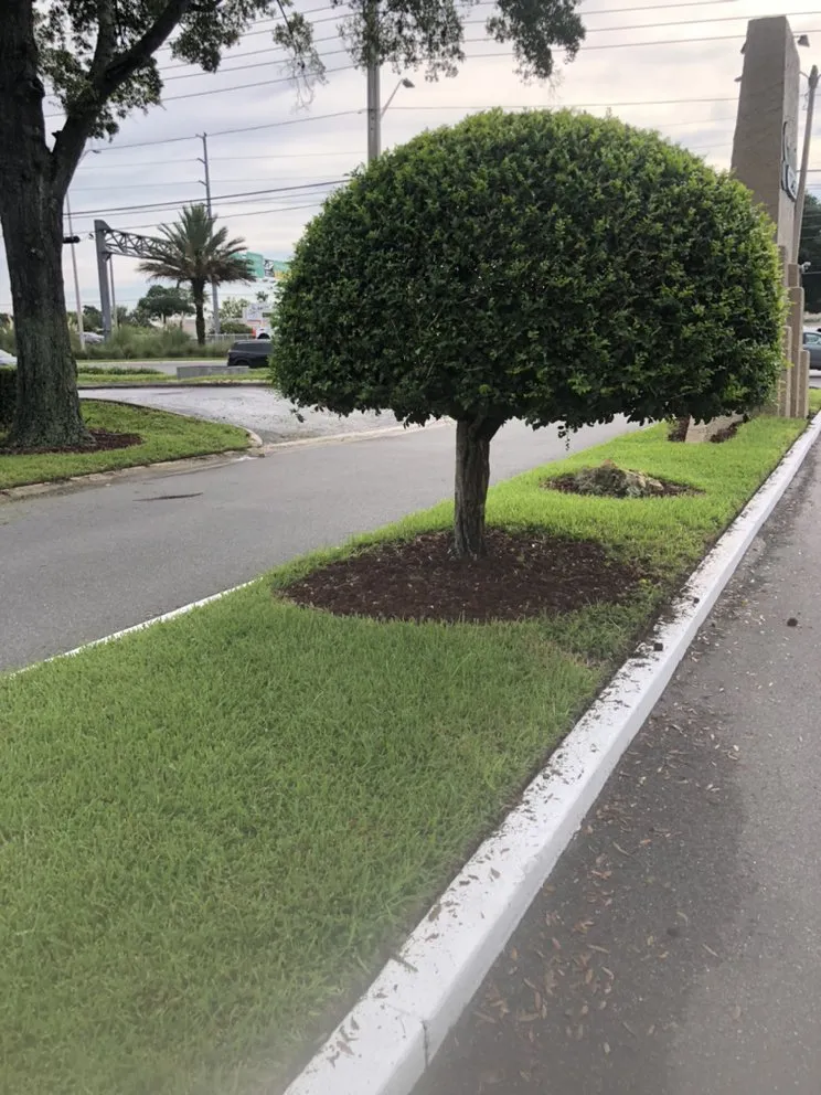 Reliable lawn mowing service experts serving Leesburg, FL - RL landscaping group