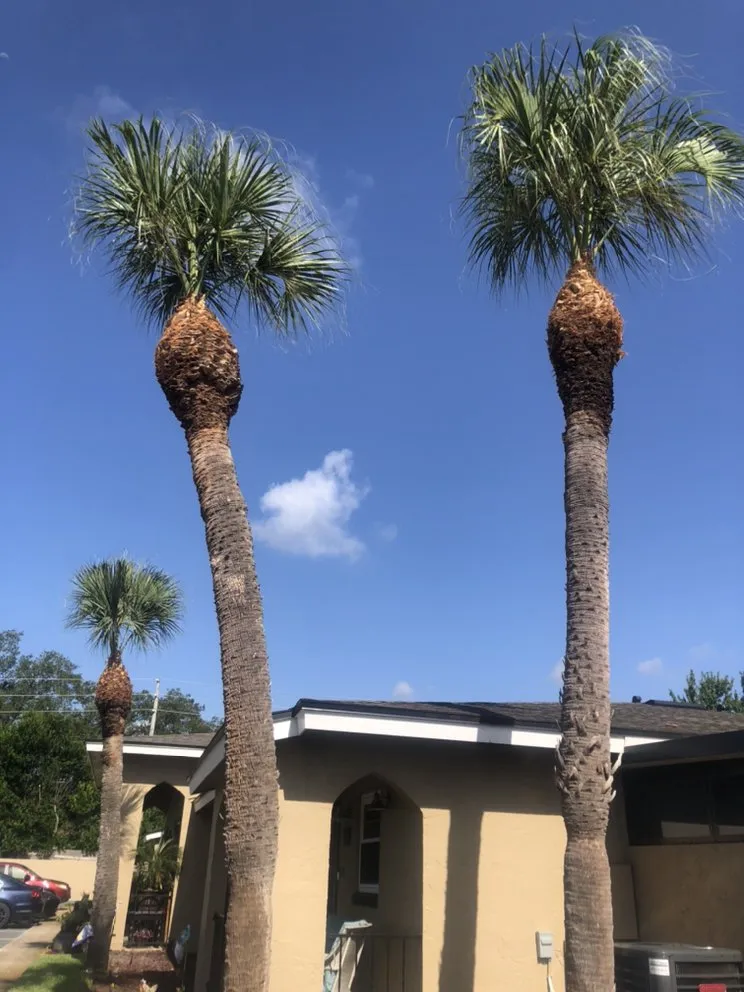 Local lawn care service in Leesburg, FL by RL landscaping group