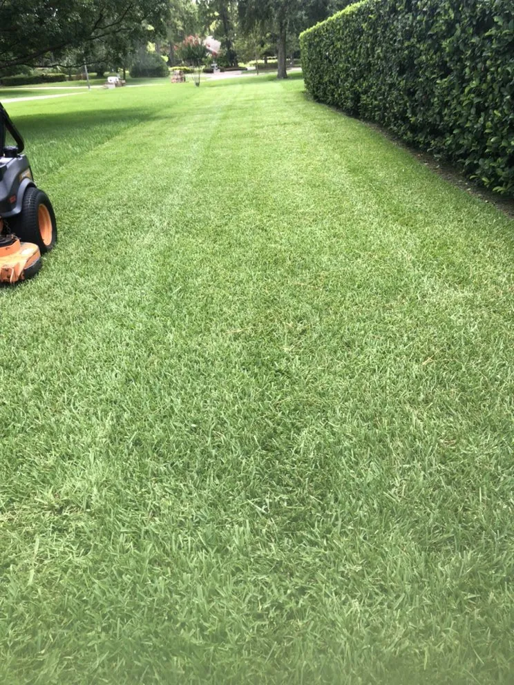 Local outdoor landscaping for residential properties across Leesburg, FL - RL landscaping group