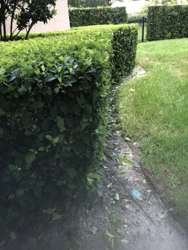 Custom landscape installation for year-round maintenance across Leesburg, FL - RL landscaping group