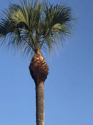 RL landscaping group Logo