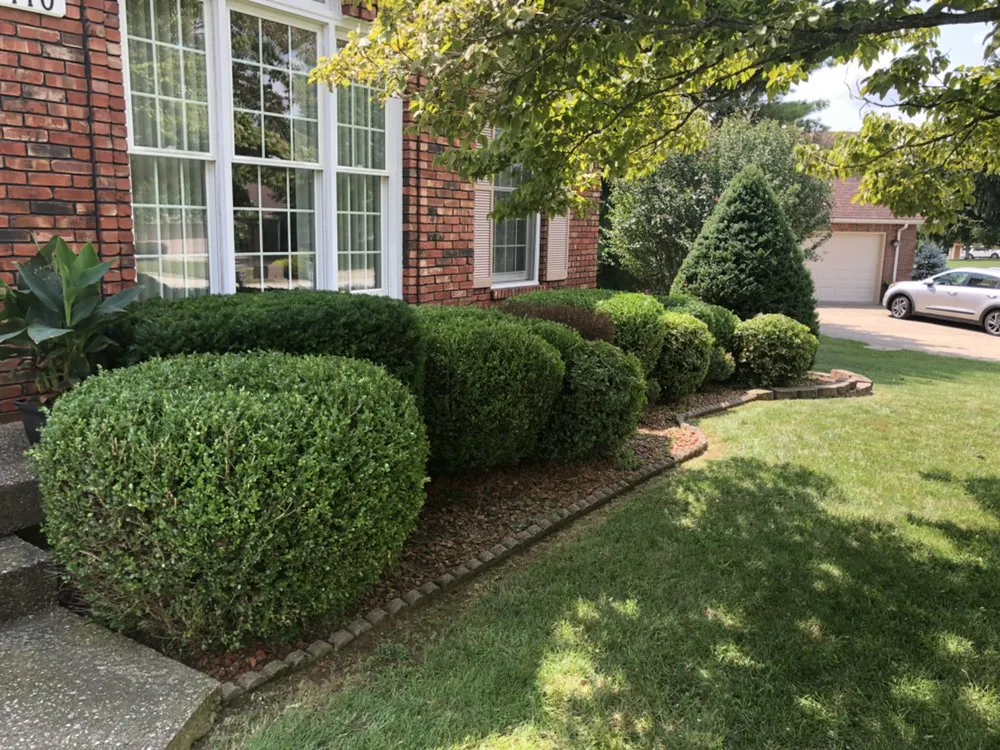 Trusted lawn mowing service near you in Louisville, KY by R&L Lawn and Landscape