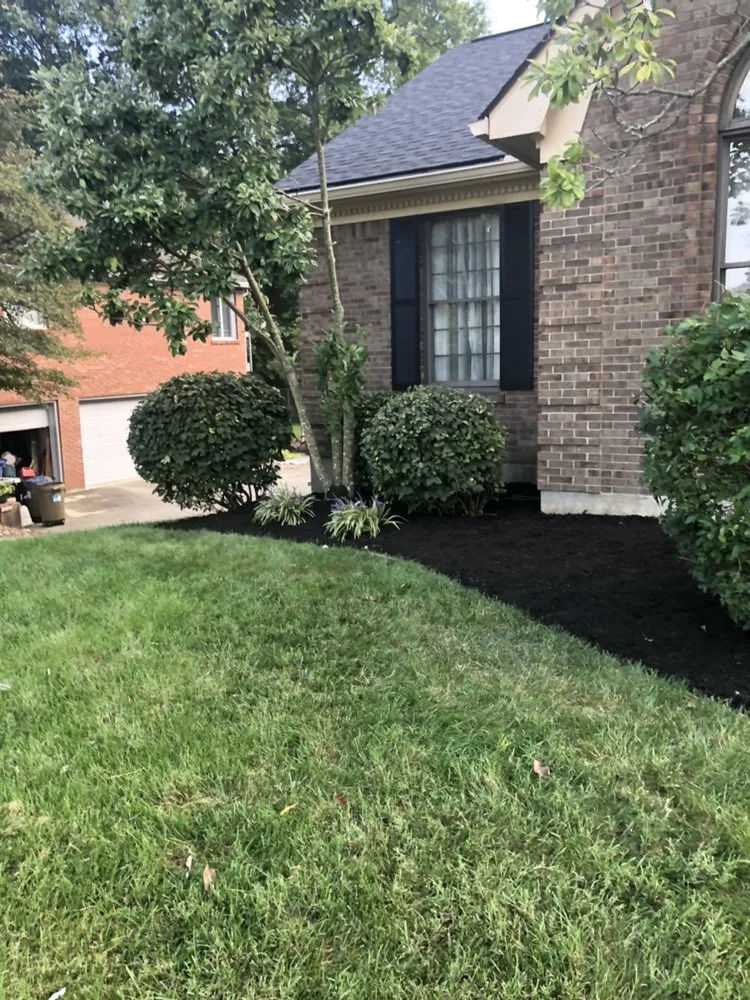Professional yard cleanup service near you in Louisville, KY by R&L Lawn and Landscape