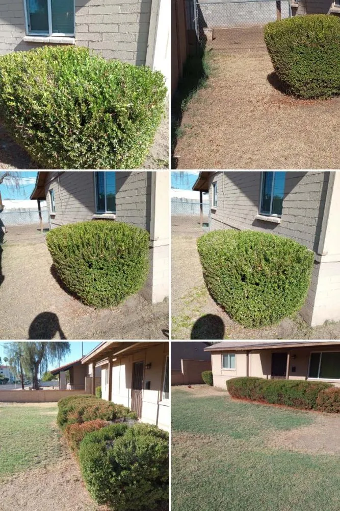 Custom landscaping services experts serving Tempe, AZ - R&L Lawn and Maintenance
