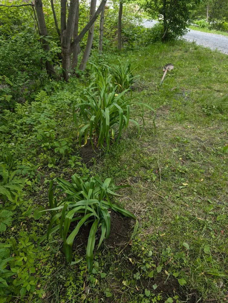 Reliable landscape installation for year-round maintenance in White River Junction, VT by RL Property Service