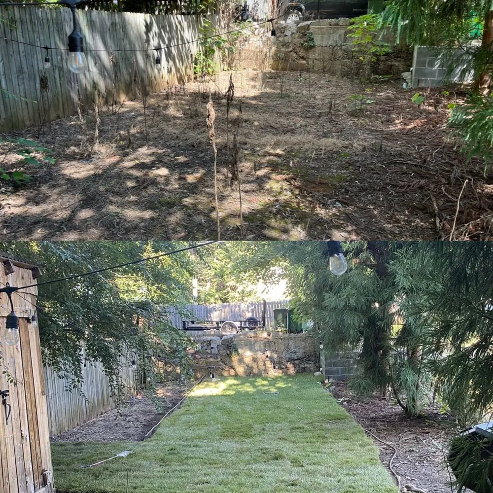 Local lawn care service for year-round maintenance across Richmond, VA - RL Savage Landscaping