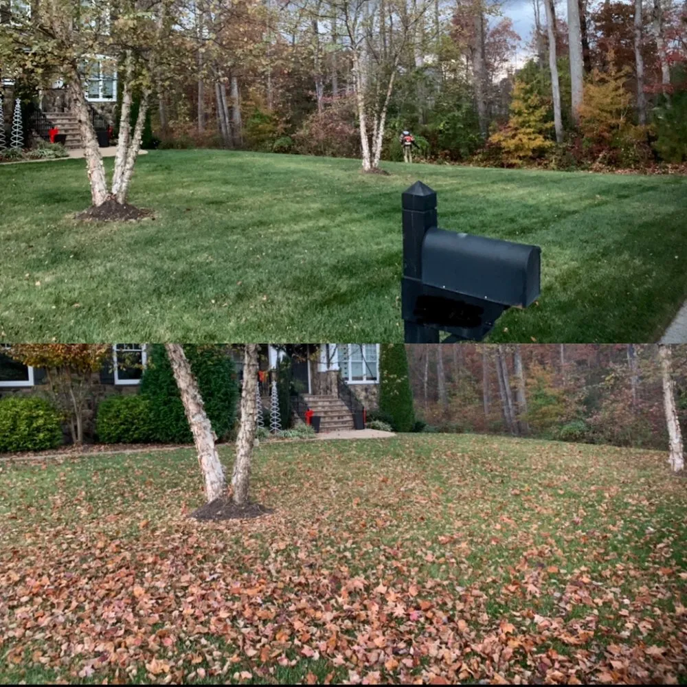 Affordable landscaping services experts serving Richmond, VA - RL Savage Landscaping