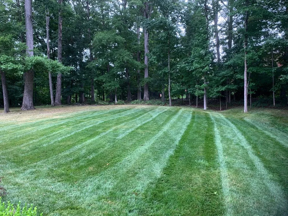 Affordable outdoor landscaping experts serving Richmond, VA - RL Savage Landscaping