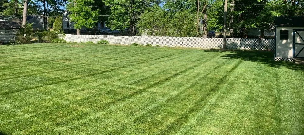 Local yard cleanup service experts serving Richmond, VA - RL Savage Landscaping