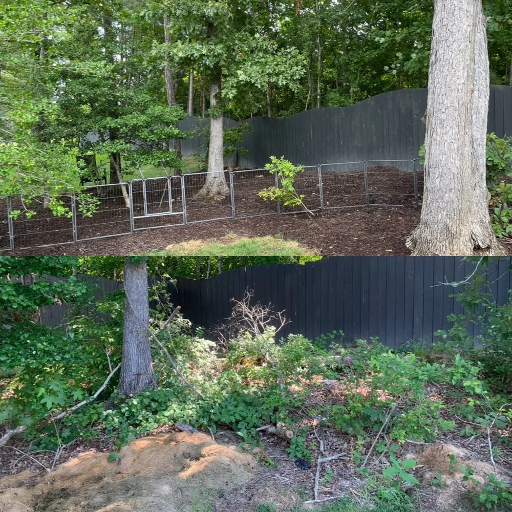 Top-rated landscape installation in Richmond, VA by RL Savage Landscaping