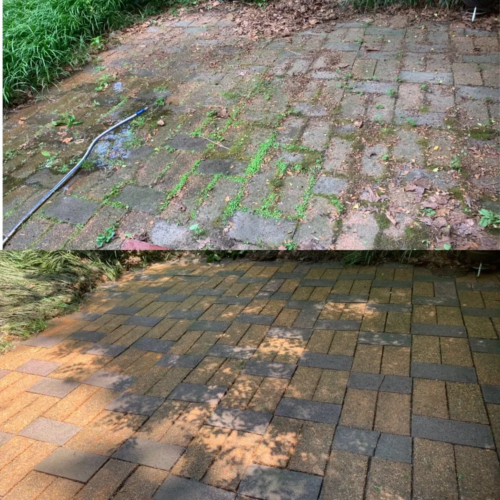 Professional yard maintenance in Richmond, VA - RL Savage Landscaping