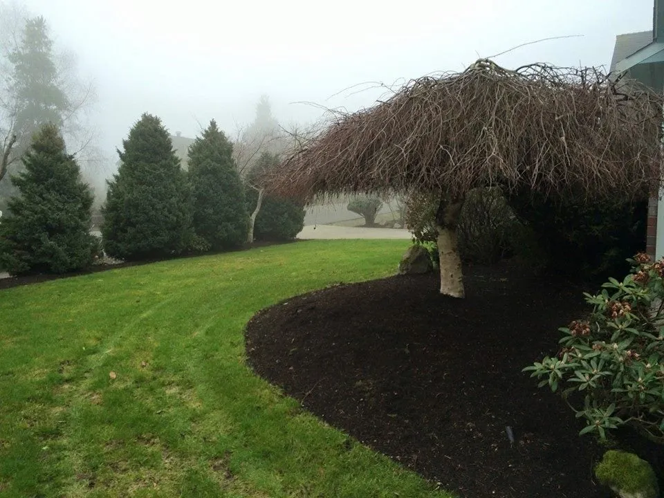 Affordable landscape installation near you in Stanwood, WA by RL Service