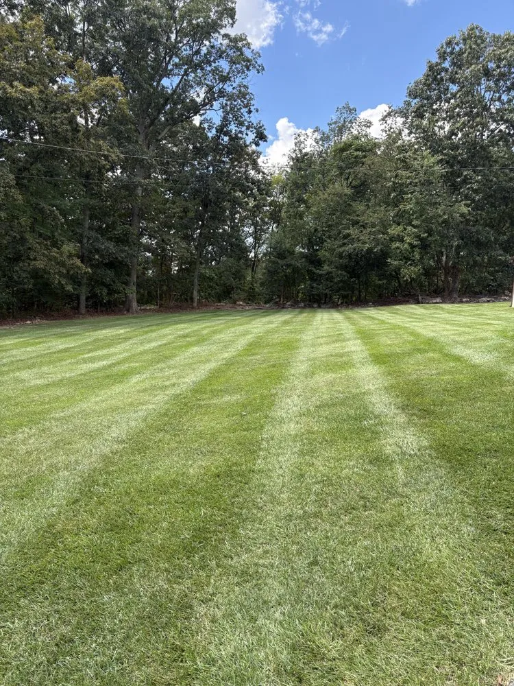 Professional yard maintenance in New Market, MD by Rl Services