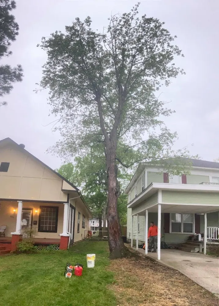 Professional yard maintenance experts serving McAlester, OK - RL Tree Care