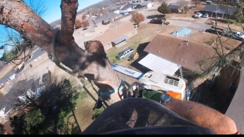 Top-rated landscaping services experts serving McAlester, OK - RL Tree Care