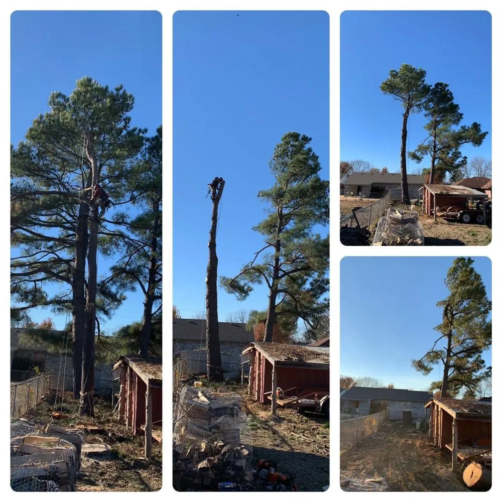 Local yard cleanup service for beautiful yards across McAlester, OK - RL Tree Care