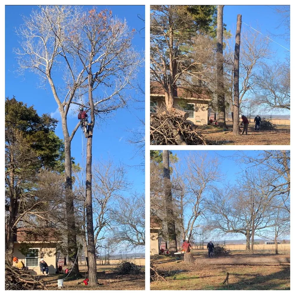 Professional landscaping services for beautiful yards across McAlester, OK - RL Tree Care