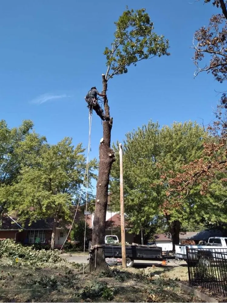 Local landscaping services experts serving McAlester, OK - RL Tree Care