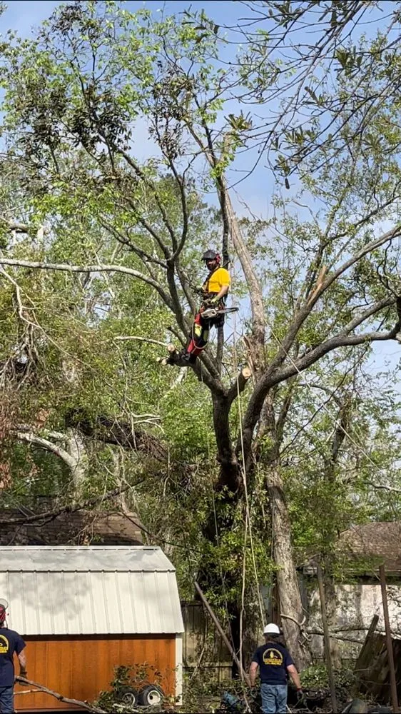 Expert garden landscaping with custom design in McAlester, OK by RL Tree Care