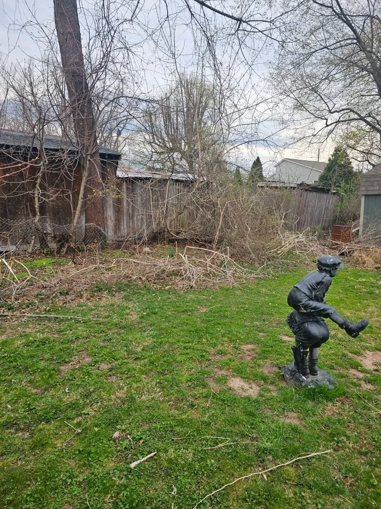 Reliable yard cleanup service experts serving Kingston, NY - RLA Contracting and Landscaping