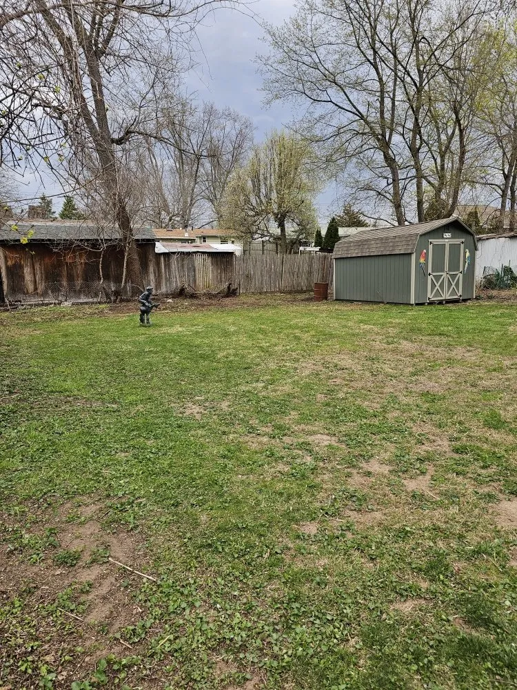 Expert yard cleanup service experts serving Kingston, NY - RLA Contracting and Landscaping