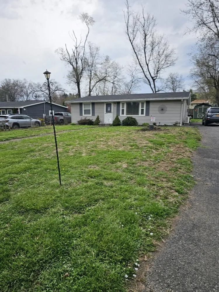 Local yard maintenance for year-round maintenance across Kingston, NY - RLA Contracting and Landscaping