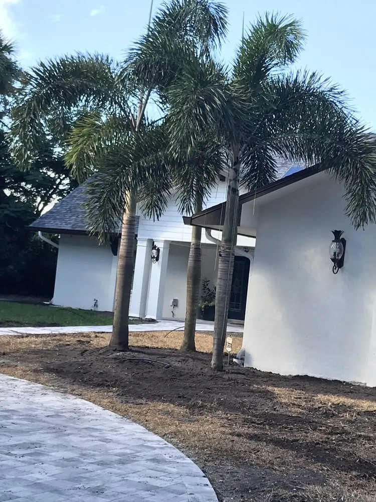Top-rated yard maintenance in Melbourne Village, FL - RLA Professional Touch Landscaping