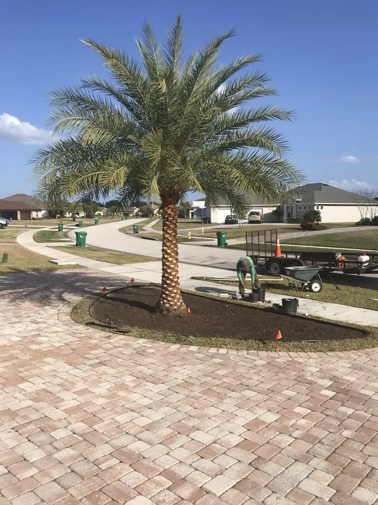 Top-rated yard maintenance near you across Melbourne Village, FL - RLA Professional Touch Landscaping