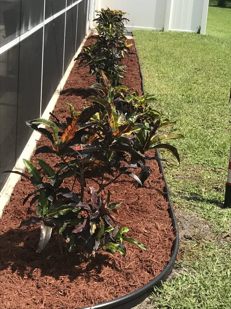 Professional yard maintenance in Melbourne Village, FL - RLA Professional Touch Landscaping