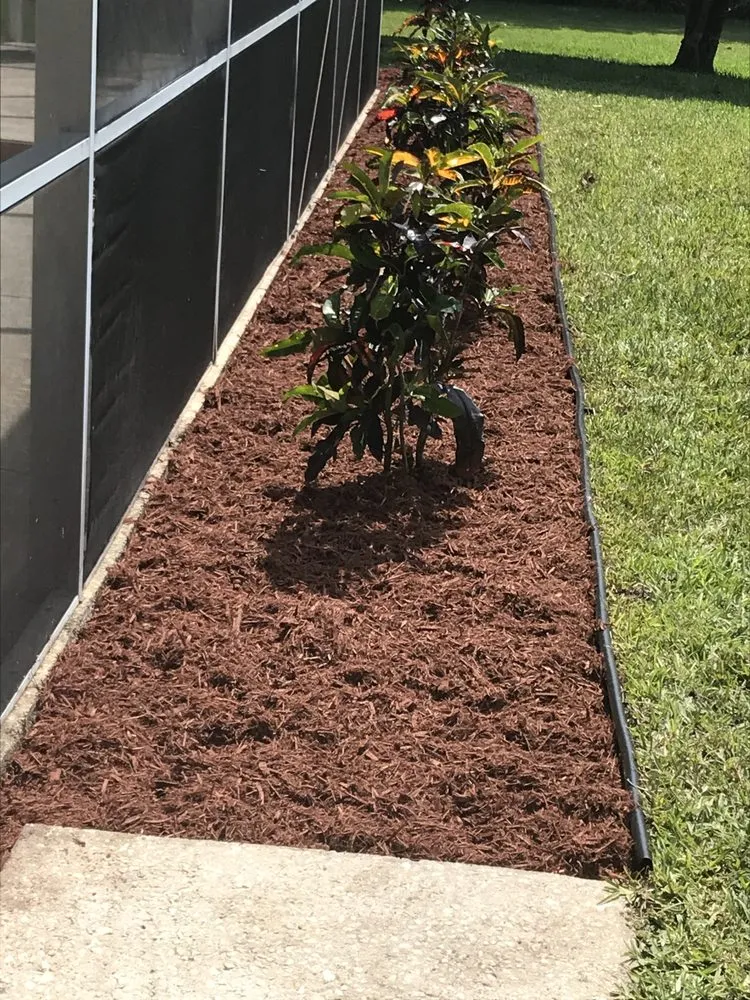 Local landscape installation in Melbourne Village, FL by RLA Professional Touch Landscaping