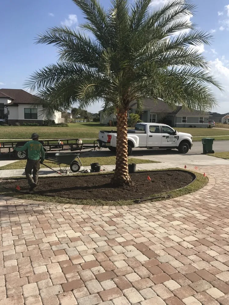 Top-rated outdoor landscaping for beautiful yards across Melbourne Village, FL - RLA Professional Touch Landscaping