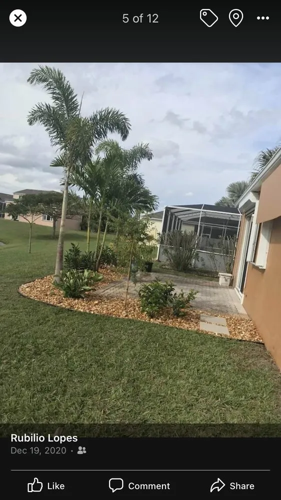Expert lawn care service experts serving Melbourne Village, FL - RLA Professional Touch Landscaping