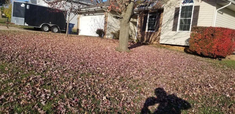 Affordable lawn mowing service experts serving Republic, MO - Rlawrence Lawncare