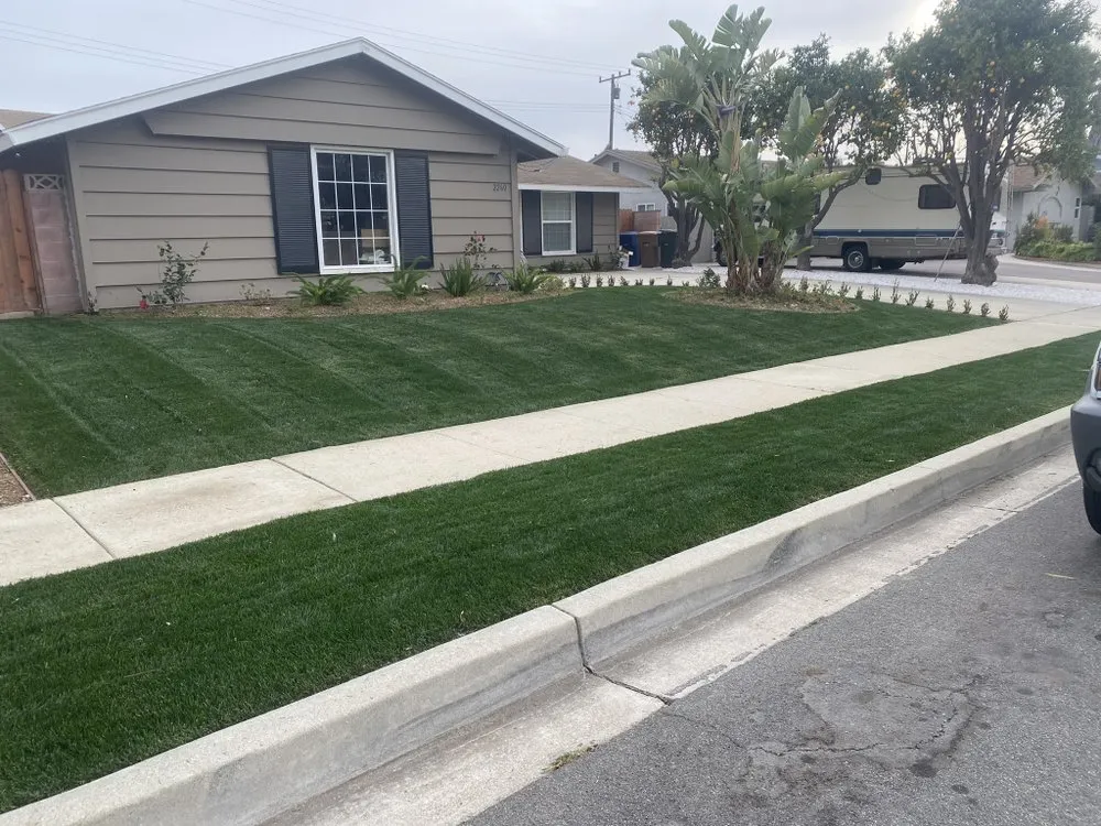 Reliable yard maintenance near you in Camarillo, CA by RLC Landscaping & Construction