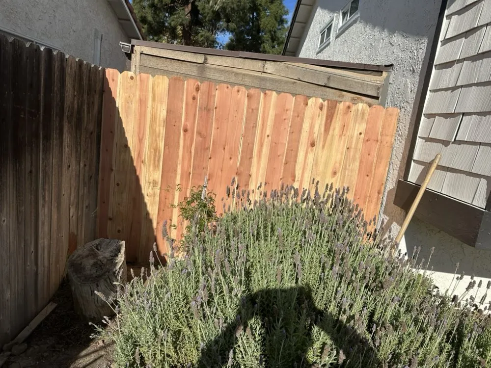 Custom outdoor landscaping in Camarillo, CA by RLC Landscaping & Construction