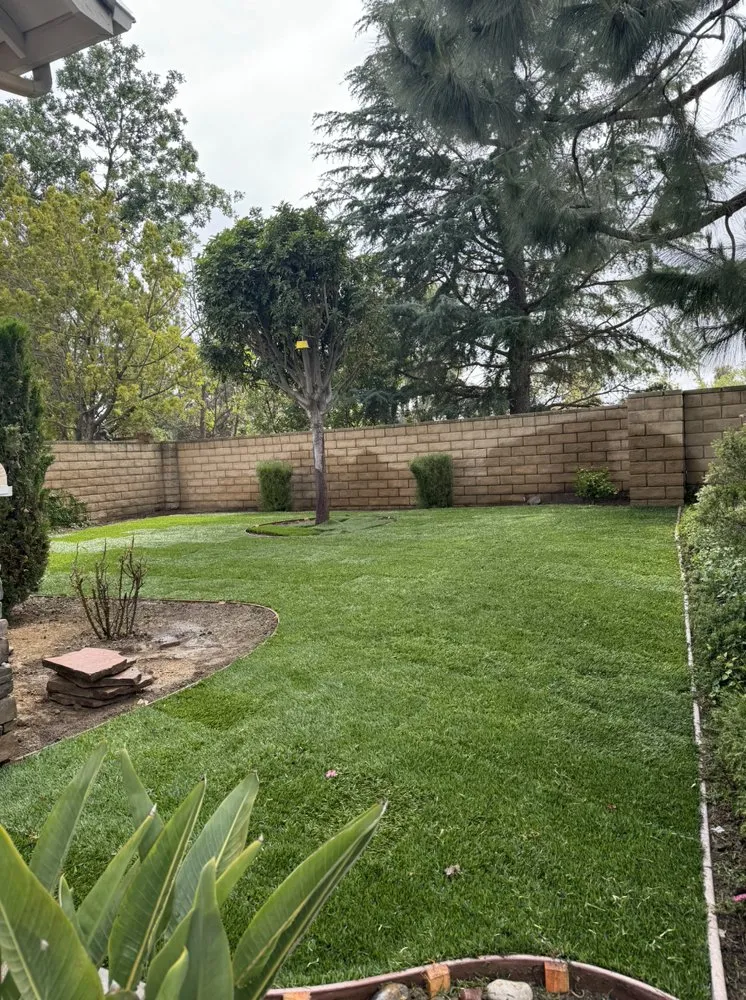 Affordable yard cleanup service with custom design in Camarillo, CA by RLC Landscaping & Construction