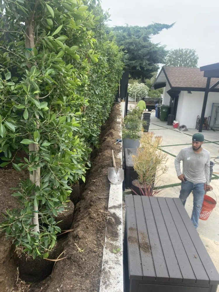 Top-rated landscape design for beautiful yards across Camarillo, CA - RLC Landscaping & Construction