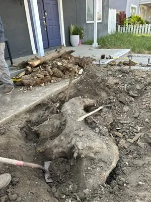 RLC Landscaping & Construction