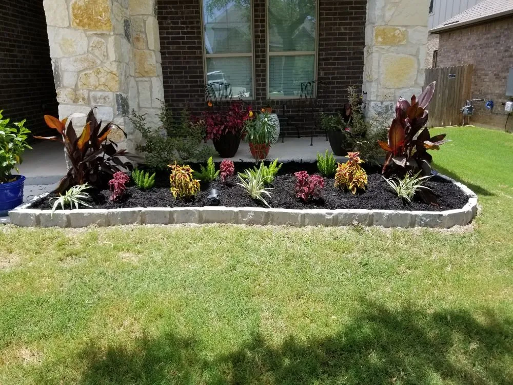 Professional yard cleanup service with custom design across Cedar Park, TX - RLC Lawn Care
