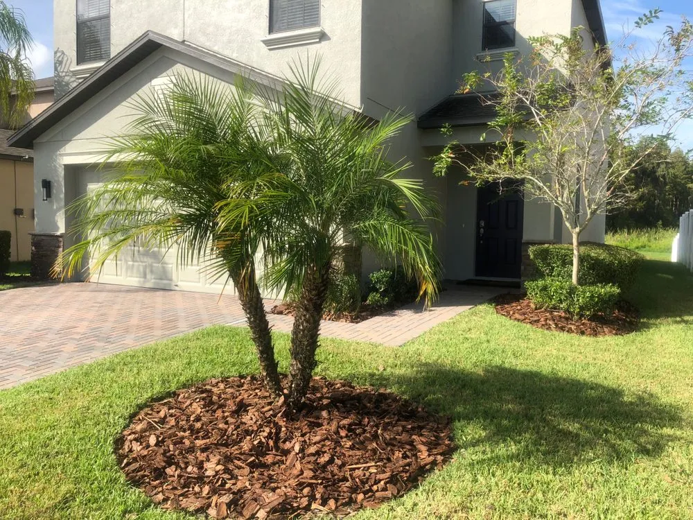 Affordable landscape design experts serving Odessa, FL - RLC Maintenance