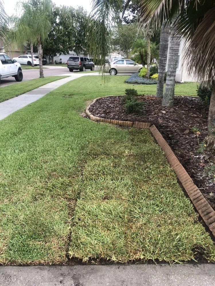 Affordable landscape design in Odessa, FL - RLC Maintenance