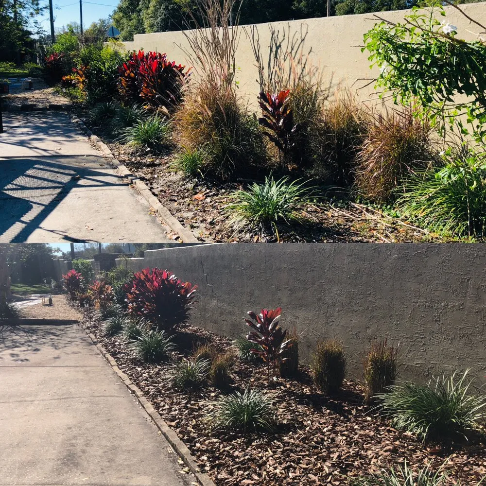 Affordable yard maintenance experts serving Odessa, FL - RLC Maintenance