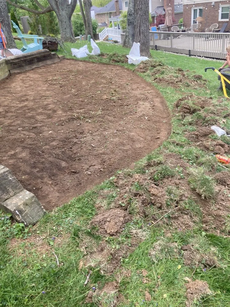 Reliable yard cleanup service for residential properties in Louisville, KY by RLC Services