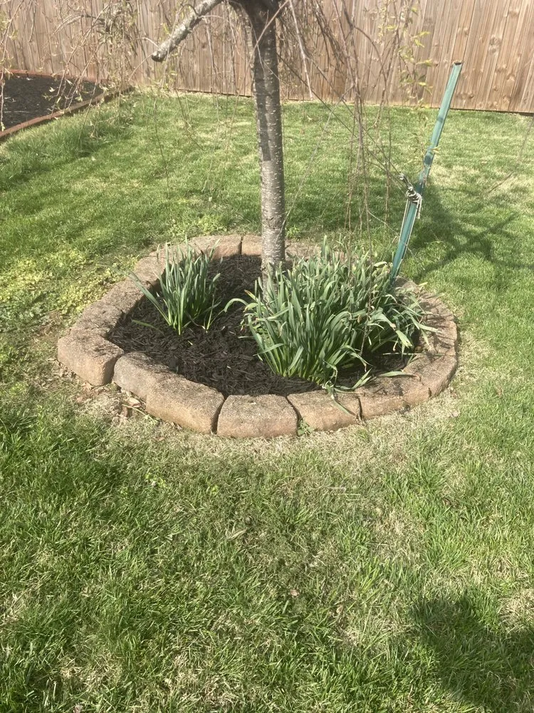 Custom residential landscaping for outdoor upgrades in Louisville, KY by RLC Services