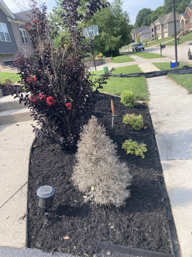 Reliable lawn care service in Louisville, KY - RLC Services