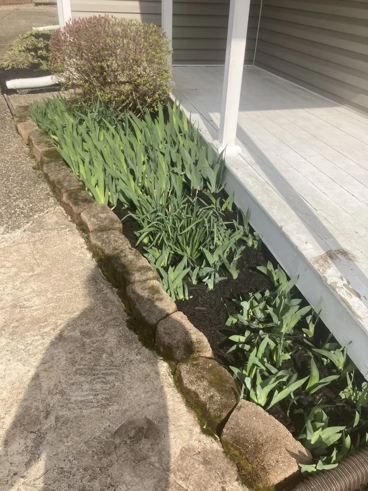 Reliable residential landscaping experts serving Louisville, KY - RLC Services