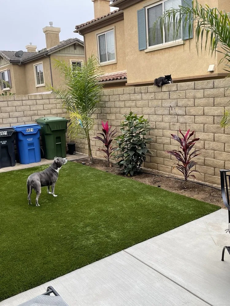 Top-rated lawn care service in Moorpark, CA - RLC Synthetic Turf