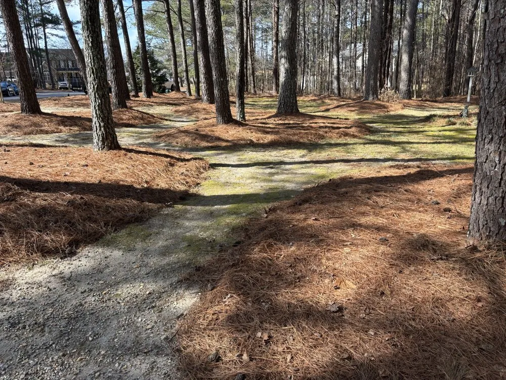 Reliable residential landscaping experts serving Clayton, NC - RLD